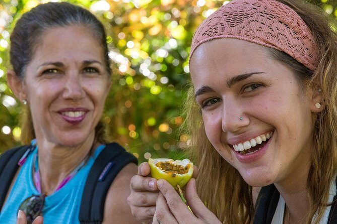 Waterfall & Rainforest Hiking Adventure with Hotel Pickup - Who Will Love This Tour?