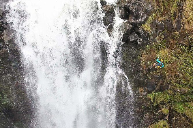 Waterfall Rappelling at Kulaniapia Falls: 120 Foot Drop, 15 Minutes from Hilo - Key Points