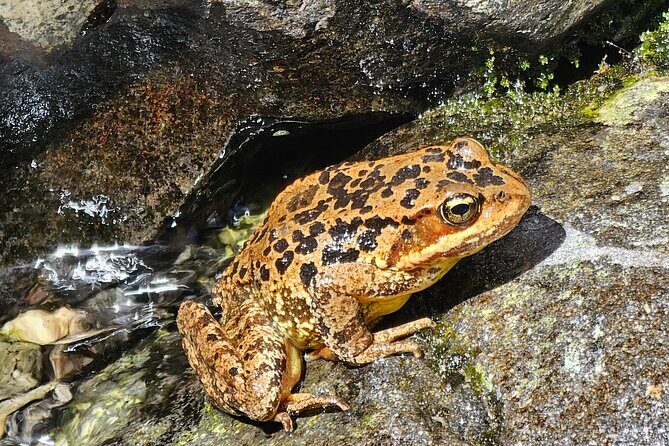 Waterfall Rappelling Canyoneering Adventure + Photo Package! - How About the Price and Value?