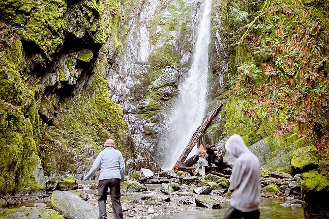 Waterfall, Skywalk, Lagoon Picnic, Castle and Whales in Victoria - What the Tour Includes and What to Expect