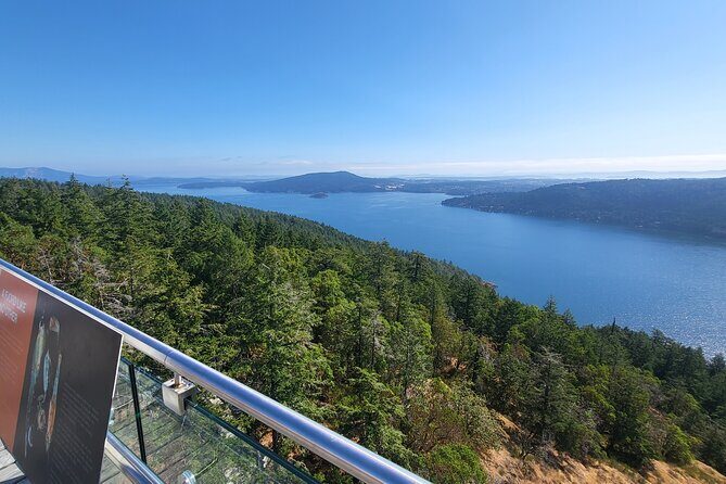 Waterfall, Skywalk, Lagoon Picnic, Castle and Whales in Victoria - Final Thoughts