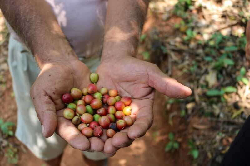 Waterfalls, Coffee and Adventure Tour, Huatulco - Authentic Experiences and Honest Review