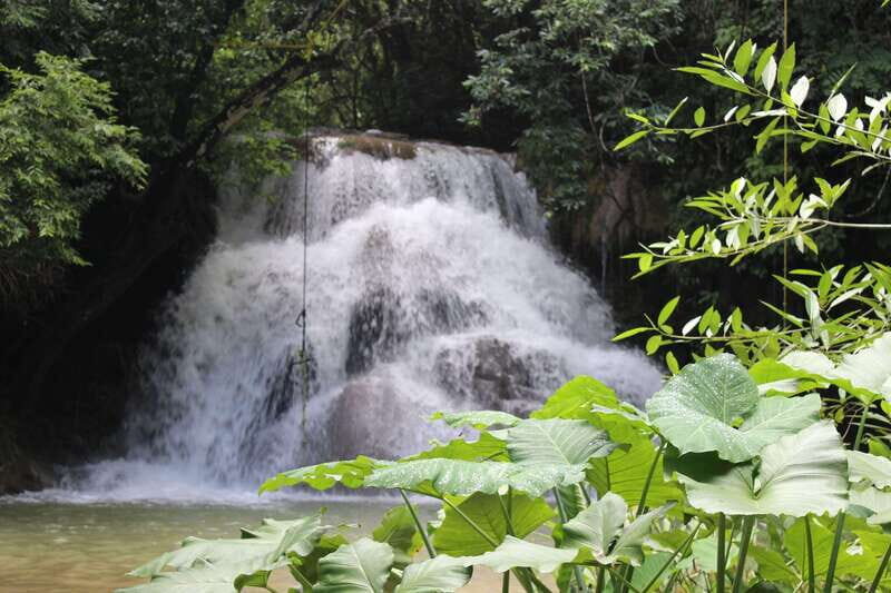 Waterfalls, Coffee and Adventure Tour, Huatulco - FAQ