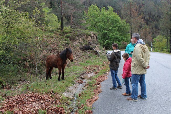 Waterfalls, Heritage and Nature in Gerês Park - from Porto - Final Thoughts