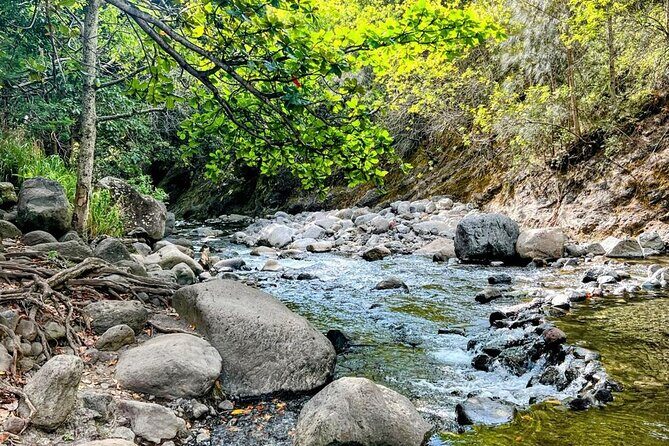 Waterfalls, Hike & Rivers Tour from Kahului - A Deep Dive into the Waterfalls, Hike & Rivers Tour