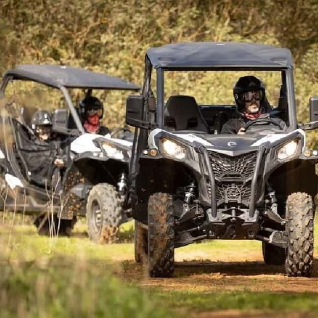 Waterfalls of Algar: 3-Hour Buggy Adventure - Who Is This Tour Best For?