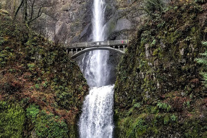 Waterfalls & Wine Tour-Multnomah Falls,Vineyards,Hood River Combo - The Experience: What You Can Expect