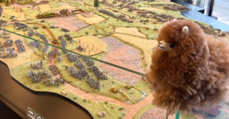 Waterloo from Brussels Half-Day Tour - Key Points