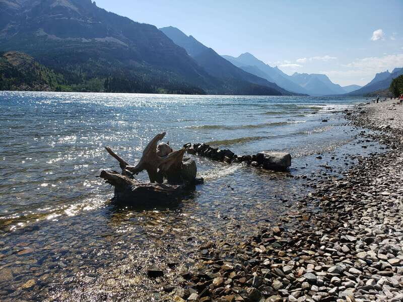 Waterton National Park Full-Day Private Tour From Calgary - What to Expect from the Tour