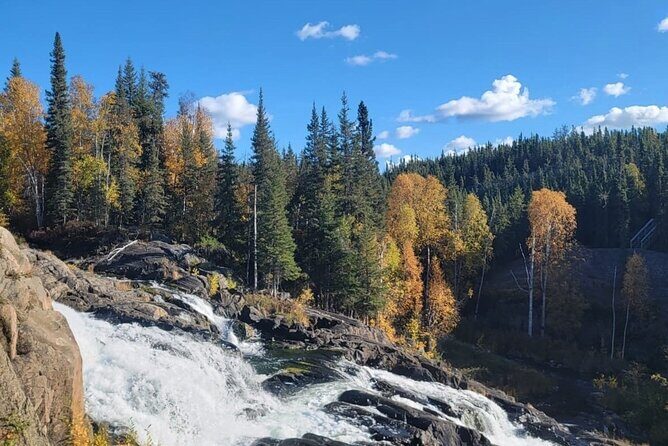 Waterton National Park Premium Day Tour - What You Can Expect from the Waterton Lakes National Park Premium Day Tour
