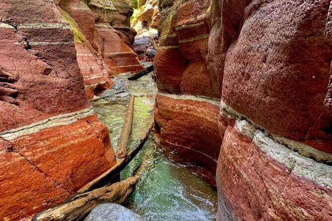 Waterton National Park Premium Day Tour - Who is This Tour Best For?