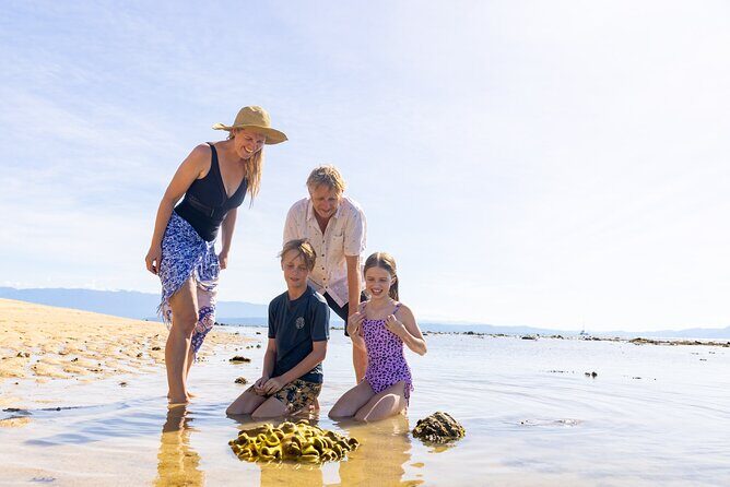 Wavedancer Low Isles Great Barrier Reef Sailing Cruise - Key Points
