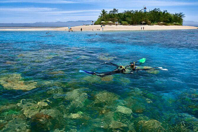 Wavedancer Low Isles Great Barrier Reef Sailing Cruise from Cairns - Key Points
