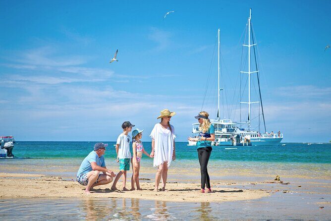Wavedancer Low Isles Great Barrier Reef Sailing Cruise from Palm Cove - FAQs