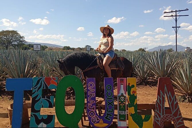 Weekend Entre to Charros Mariachi Tequila and Guachimontones - Who Should Consider This Tour?