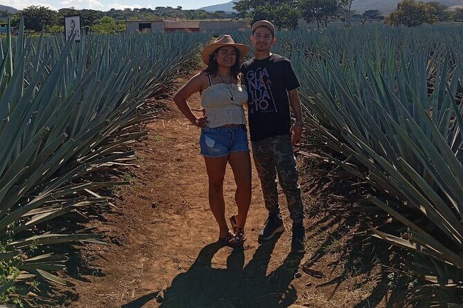 Weekend Entre to Charros Mariachi Tequila and Guachimontones - FAQ