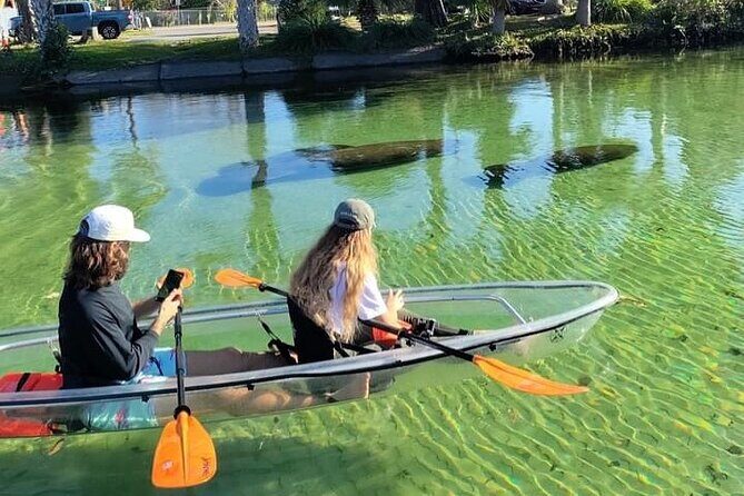 Weeki Wachee Clear Kayak Ecotours Manatee Season - November 14th-March 31st - What to Expect on the Weeki Wachee Clear Kayak Ecotour