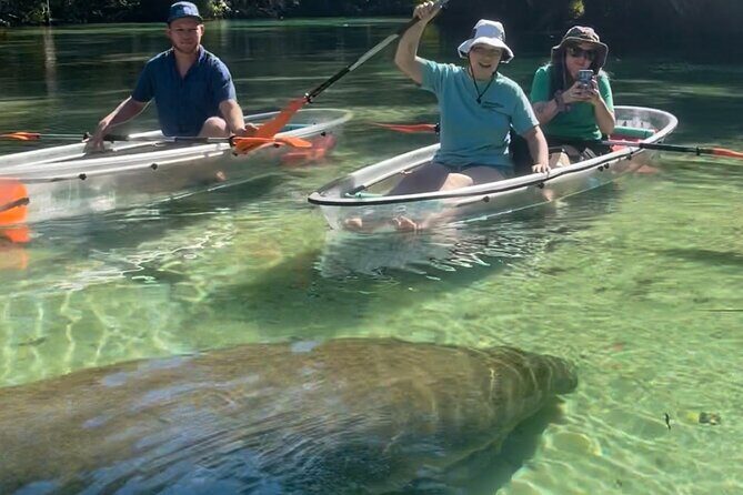 Weeki Wachee Clear Kayak Ecotours Manatee Season - November 14th-March 31st - The Guided Experience: Education and Atmosphere