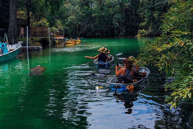 Weeki Wachee Clear Kayak Ecotours Manatee Season - November 14th-March 31st - Who Should Consider This Tour?