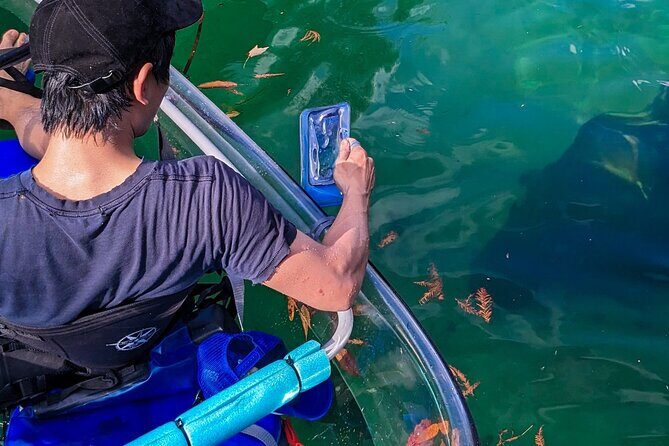 Weeki Wachee Clear Kayak Ecotours Manatee Season - November 14th-March 31st - The Sum Up