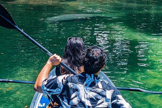 Weeki Wachee Clear Kayak Ecotours Manatee Season - November 14th-March 31st - FAQ