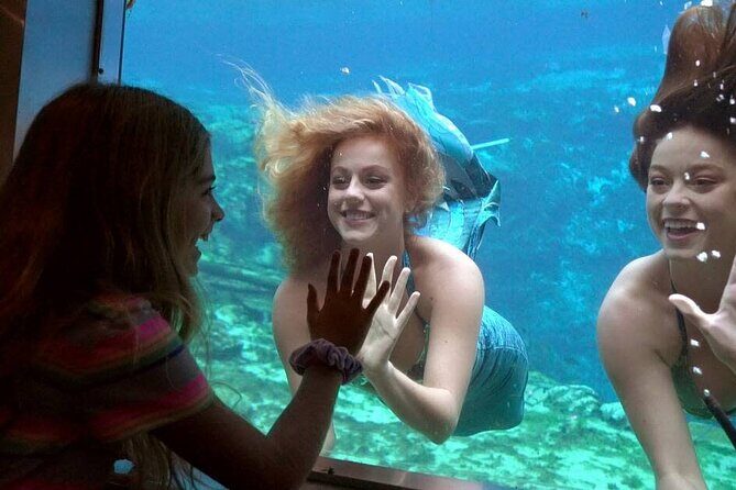 Weeki Wachee kayaking - Key Points