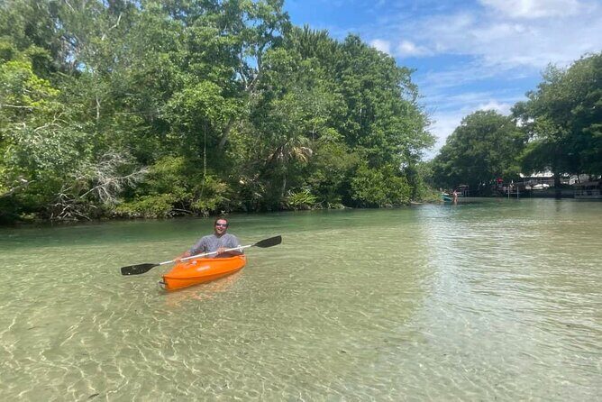 Weeki Wachee kayaking - Who Would Love This Tour?