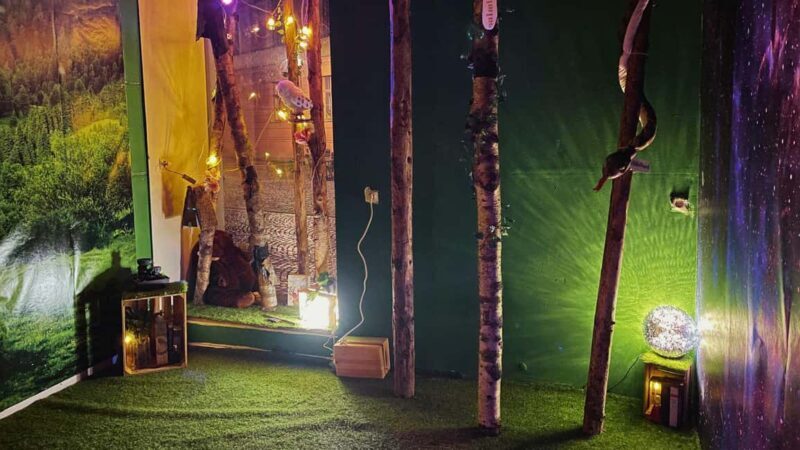 Weimar: Kids' birthday party, all-inclusive package, kids' escape & color tunnel game - Key Points