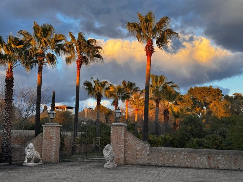 Weinsonntag auf Mallorca - What to Expect from Weinsonntag auf Mallorca