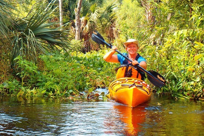 Wekiva River Guided Kayak Tour - Why This Tour Might Be a Great Choice