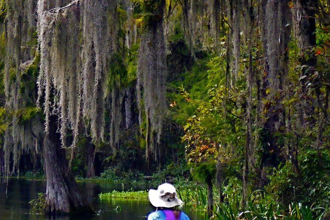 Wekiva River Guided Kayak Tour - The Included Experience: Food and Water