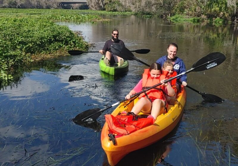 Wekiva Wildlife kayaking Adventure Tour - Key Points