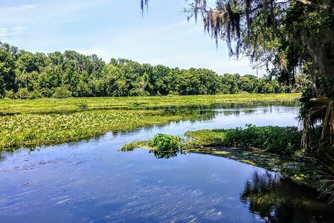 Wekiva Wildlife Kayaking Adventure Tour - An In-Depth Look at the Wekiva Wildlife Kayaking Adventure
