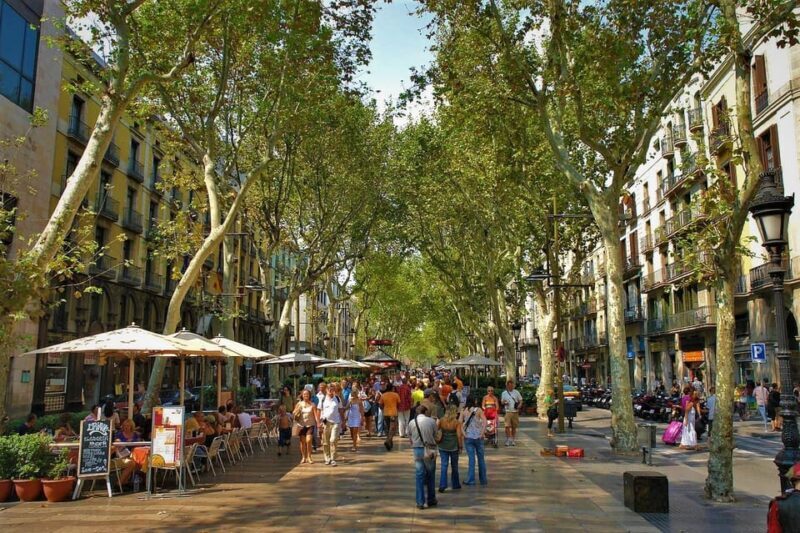 Welcome to Barcelona! Your Essential Orientation Tour. - Is This Tour Right for You?