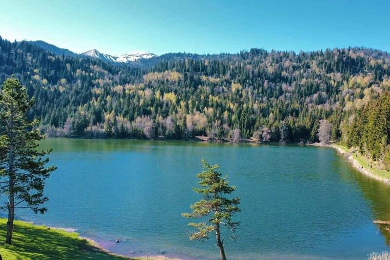 welcome to georgia discover together - Who Is This Tour Best For?