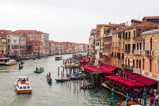 Welcome to Venice Group Tour St. Mark's Basilica & Gondola Ride - Stop 3: Libreria Acqua alta and the cats