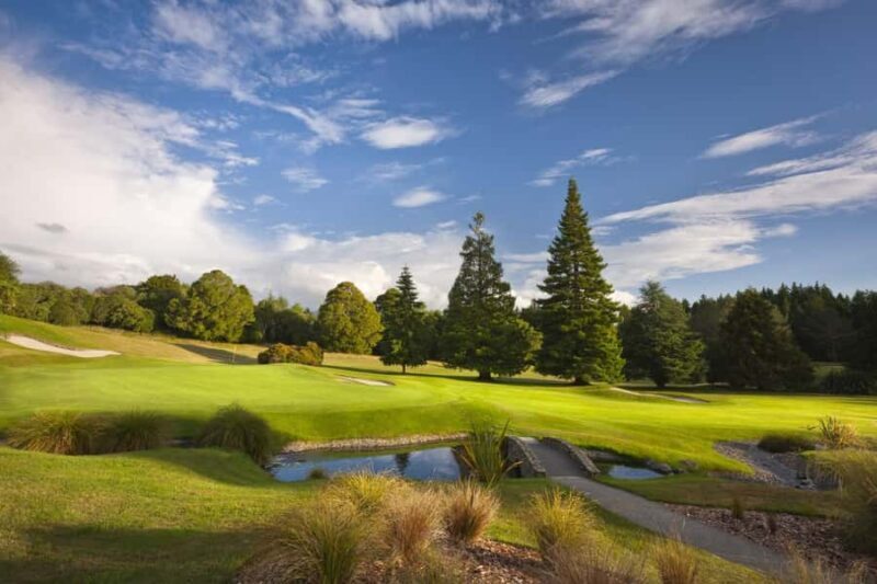Wellington: 7-Day Lower North Island Golf Tour - Who Should Consider This Tour?