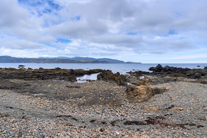 Wellington Coastal Self Drive Tour with an APP - Who Is This Tour Best For?