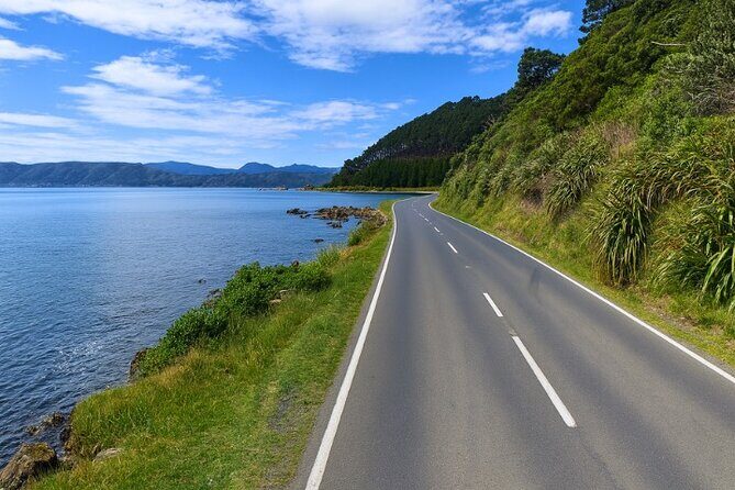 Wellington Coastal Self Drive Tour with an APP - Final Thoughts: Is It Worth It?