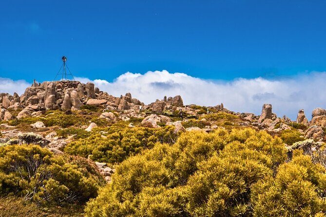 Wellington Coastal Self Drive Tour with an APP - FAQ