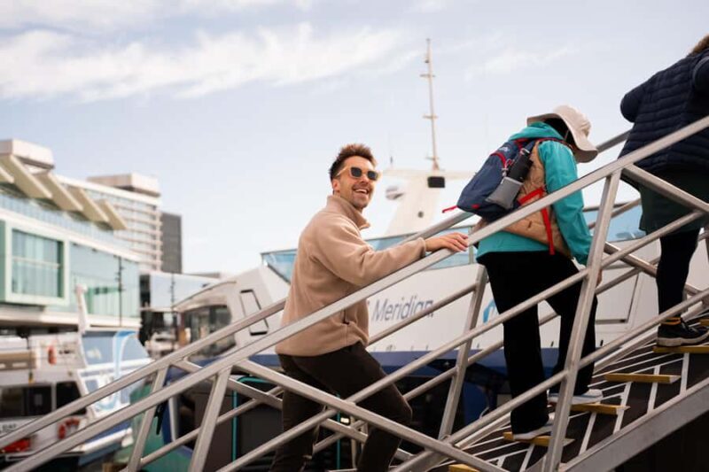 Wellington: Commentated Harbour Explorer tour - The Value of an Electric Ferry Ride