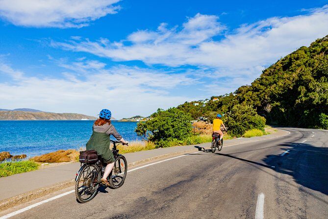 Wellington Electric Bike Rental - Value for Money and Practical Considerations