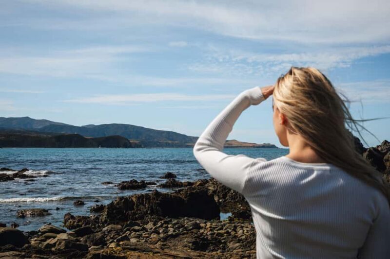 Wellington: Guided City Tour with Cable Car Ticket - Key Points