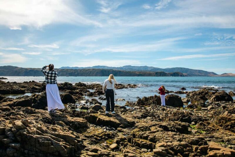 Wellington: Guided City Tour with Cable Car Ticket - An Honest Look at the Wellington Guided City Tour