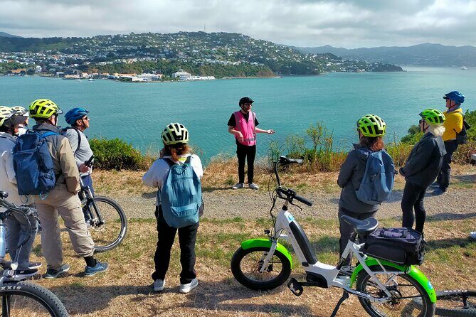 Wellington Guided eBike Tour-Cruise Shore Excursion - Key Points