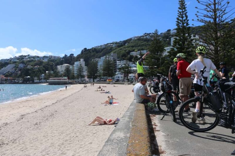 Wellington: Guided Sightseeing Tour by Electric Bike - Who Should Book This Tour?