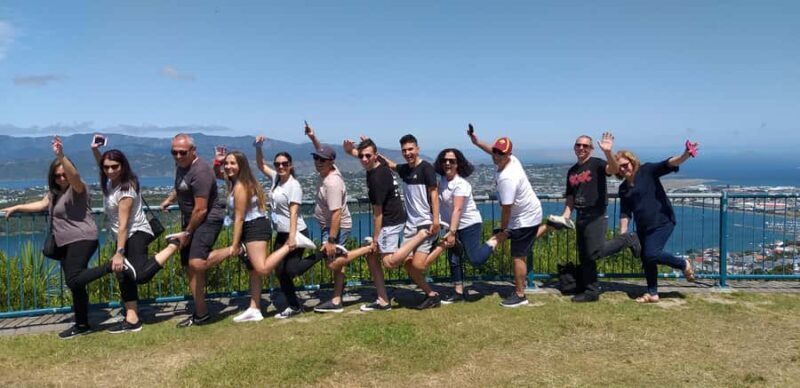 Wellington: Half-Day City Highlights Tour and Cable Car Ride - A Closer Look at the Itinerary