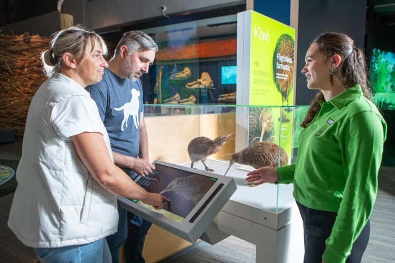 Wellington: Museum of NZ Intro Tour & General Admission - Key Points