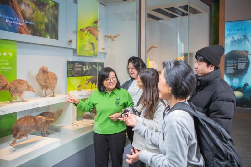 Wellington: Museum of NZ Intro Tour & General Admission - An In-Depth Look at the Tour Experience