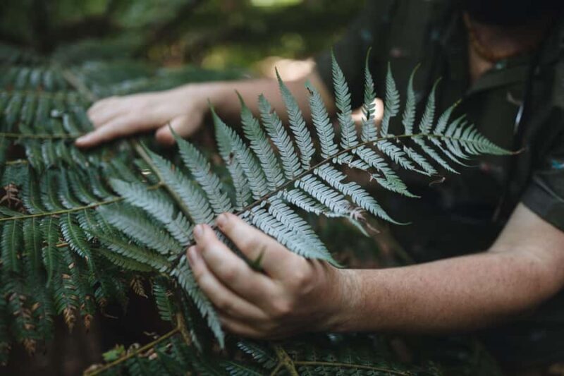 Wellington: Original LOTR Full-Day Tour with Weta & Lunch - Frequently Asked Questions
